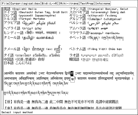 『the m17n library』の利用例の図