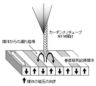 垂直磁気記録媒体のMFM観察概念図