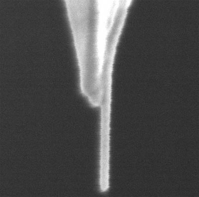 新しく開発された磁気力プローブ顕微鏡探針の走査型電子顕微鏡像写真