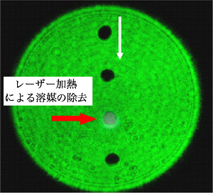 微粒子集団を液滴で搬送する実験の図