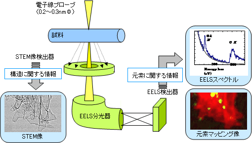 誘導放出抑制顕微鏡法