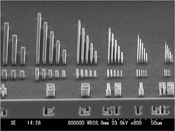 シリコン基板上にレジストマスクを形成後エッチングして得られた構造の電子顕微鏡写真