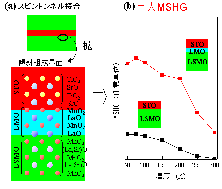 本研究で開発された、新しい接合界面の原子配列構造と新規界面における巨大MSHGの図