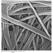 リン酸セリウムの繊維の写真
