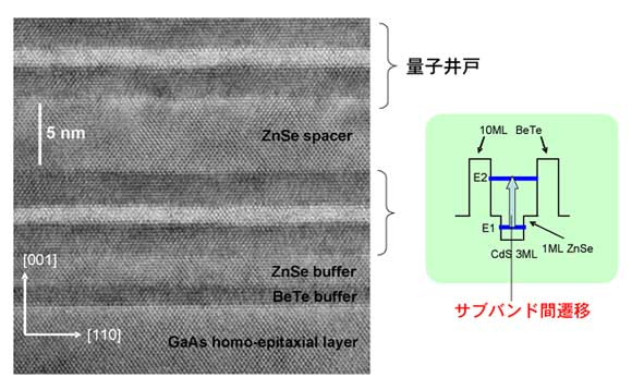 サブバンド間遷移波長1.57μmを示すCdS/ZnSe/BeTe量子井戸構造の伝導体エネルギー構造と断面透過電子顕微鏡写真画像