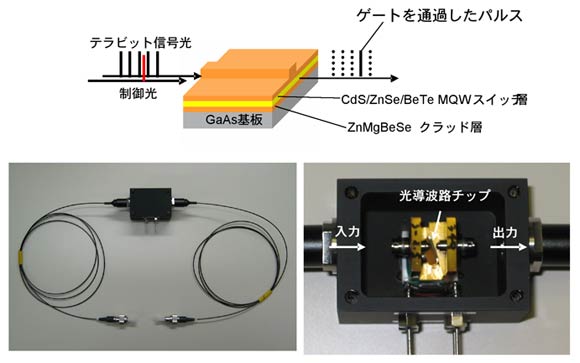 光スイッチ動作の概念図と試作したモジュールの図