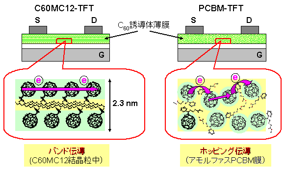 C60MC12-有機TFTとPCBM-有機TFT中の分子配列の図