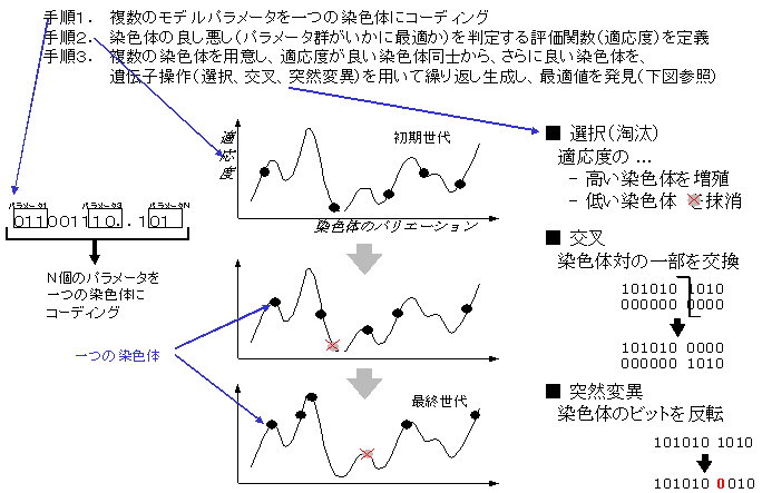 遺伝的アルゴリズムによる合わせ込みの図