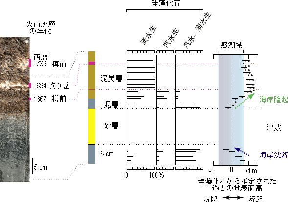 海岸付近の地層に含まれる珪藻化石から、海岸の標高の時間変化の推定図