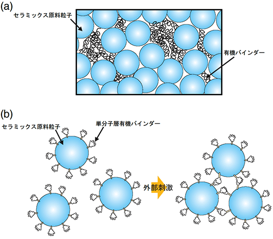 従来の有機バインダーと単分子層有機バインダーの図