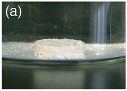 セラミックス成形体を水中に静置し、50日間経過したものの有機バインダーなしの写真