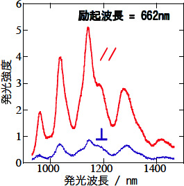 今回作製された薄膜の偏光発光特性図