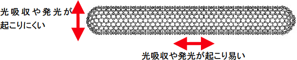 カーボンナノチューブの光学的異方性の図