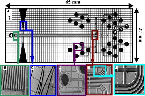1 mmの幅に10本のマイクロチャンネルを作製したデバイスを低コストで作製する説明図