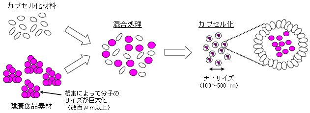 「ナノサイズ」カプセル化技術の概要図