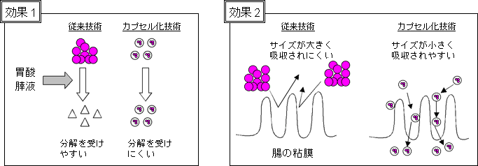 「ナノサイズ」カプセル化の効果の図