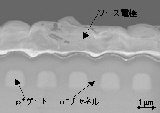 今回作製した埋込ゲート型SiC-SIT素子の断面電子顕微鏡像の一例の図