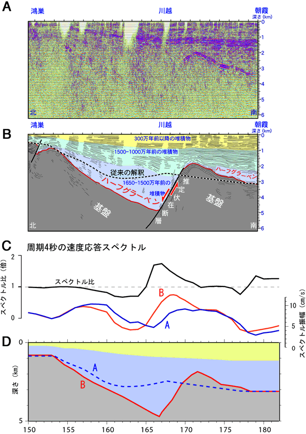 関東平野西部の朝霞－鴻巣間で実施された反射法地震波探査記録とその地質学的解釈図、および基盤構造のモデル化と地震動のシミュレーション結果の図