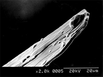 層状コバルト系熱電酸化物の写真