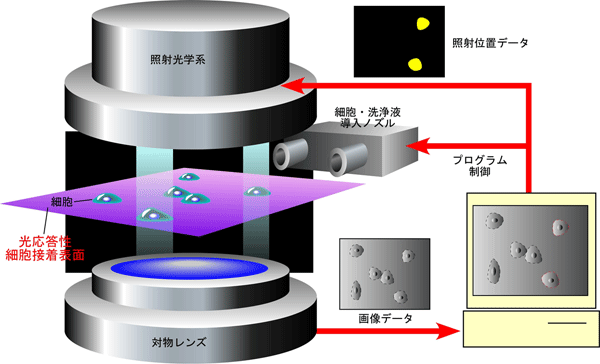 汎用型二次元培養細胞マニピュレーション装置の図