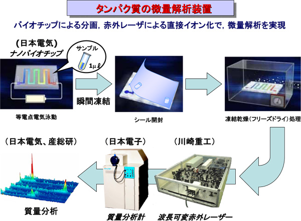 タンパク質の微量解析装置図