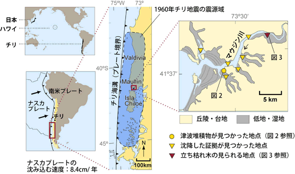 チリ中南部沿岸の図