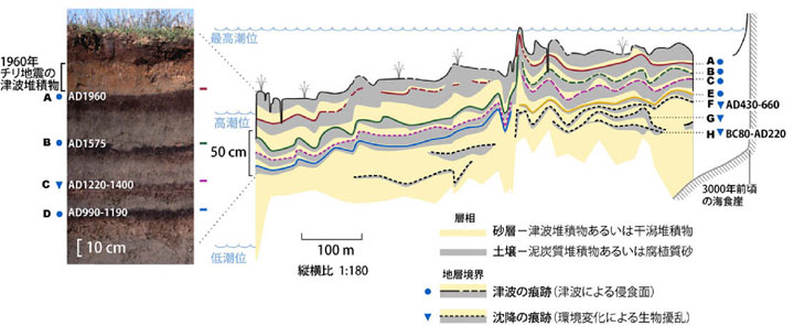 トレンチ掘削調査の図