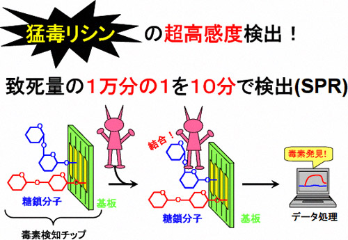 糖鎖を用いたリシンの超高感度検出の概要図