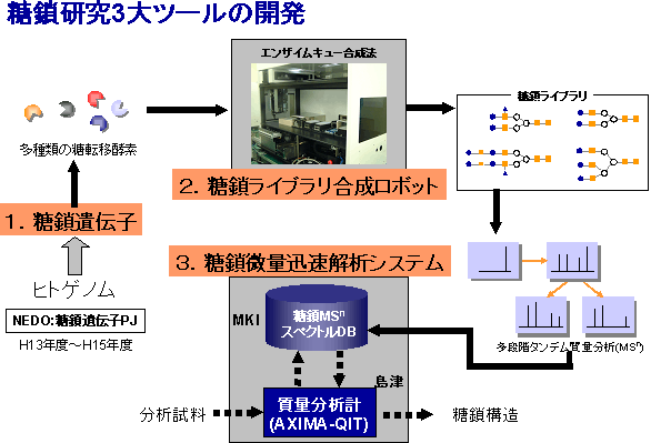 画像 糖鎖研究3大ツールの開発 1.糖鎖遺伝子 2.糖鎖ライブラリ合成ロボット 3.糖鎖微量迅速解析システム