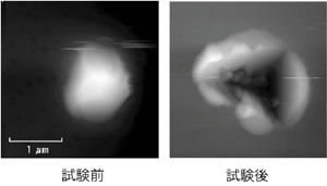 圧縮試験前後の微粒子の様子の図