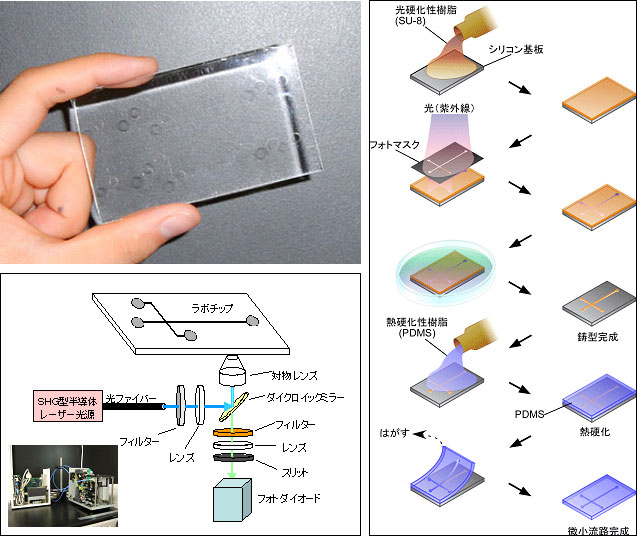 試作したプロトタイプチップと検出システム要素の概要図