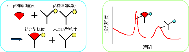 本分析法の原理図