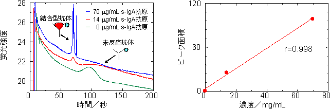 得られたs-IgAの検出データと検量線の図