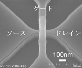 作成した起立型ダブルゲートMOSトランジスタのSEM写真