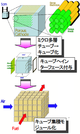 今後の展開の図