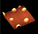 ゲルマニウムナノドットの原子間力顕微鏡画像
