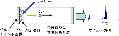 ソフトイオン化質量分析の原理の図