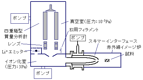 スキマーインターフェース型発生気体分析－イオン付着質量分析試作装置の図