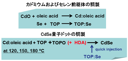 CdSe量子ドットの調製手順と前躯体の調製図