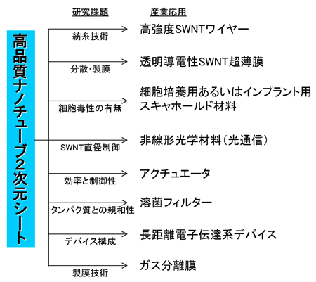 高品質SWNTの用途開発と課題の図