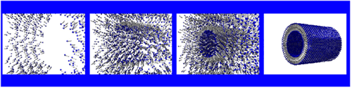 有機溶媒中での両親媒性分子の自己集合メカニズムを示した推定図