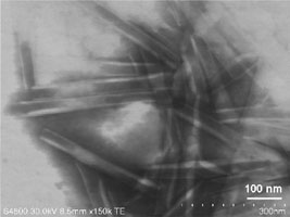 白色固体粉末を構成する有機ナノチューブの走査電子顕微鏡写真