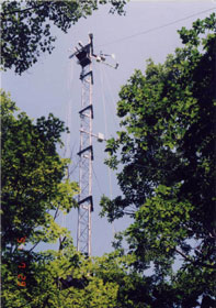 観測用のタワーの写真