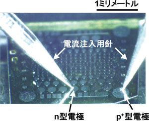 ダイヤモンドp-i-n接合構造写真