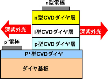 ダイヤモンドp-i-n接合の断面構造図