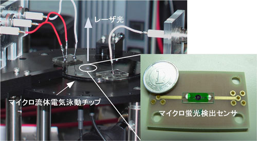 マイクロ蛍光検出センサを実装したポータブルな高速DNA分析装置の写真