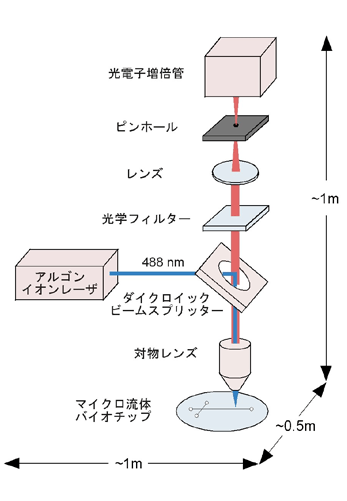 現状の共焦点レーザ誘起蛍光顕微鏡を用いたマイクロ流体バイオチップ測定システムの図