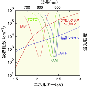 バイオ分析に使われる色素の蛍光スペクトル帯と結晶シリコンおよびアモルファスシリコンの吸収係数との関係の図
