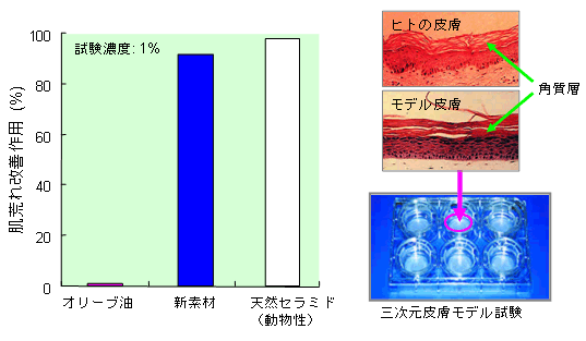 三次元皮膚モデルにおける保湿効果の図