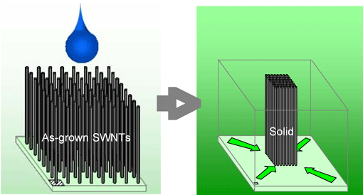 溶媒ジッパー効果によるフォレストの高密度化とナノチューブ固体の模式図